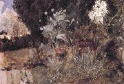 John William Waterhouse The Enchanted Garden oil painting artist